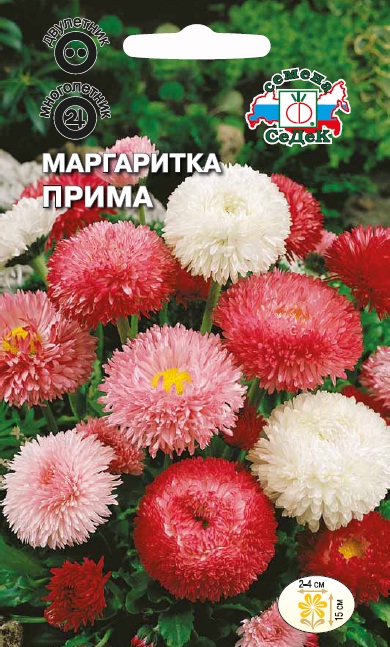 Семена цветов - Маргаритка Прима  0,1 г - 2 пакета